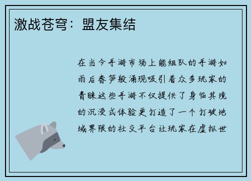 激战苍穹：盟友集结