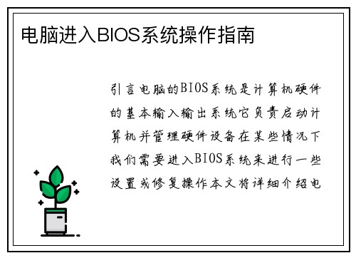 电脑进入BIOS系统操作指南